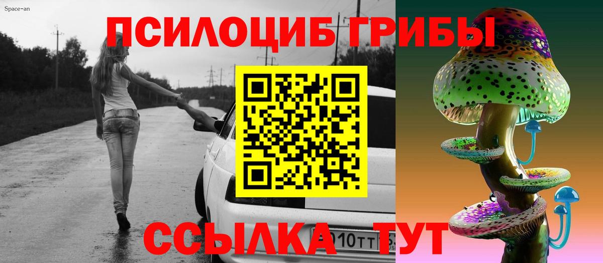 Галлюциногенные грибы Magic Shrooms Камышин