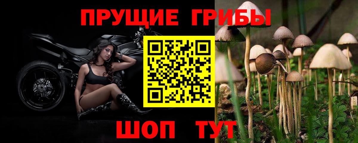 Камышин  ГАШ  Меф МЯУ МЯУ кристаллы  Cocaine  Вход с VPN  Мефедрон  Кокаин  Марихуана  Гашиш 